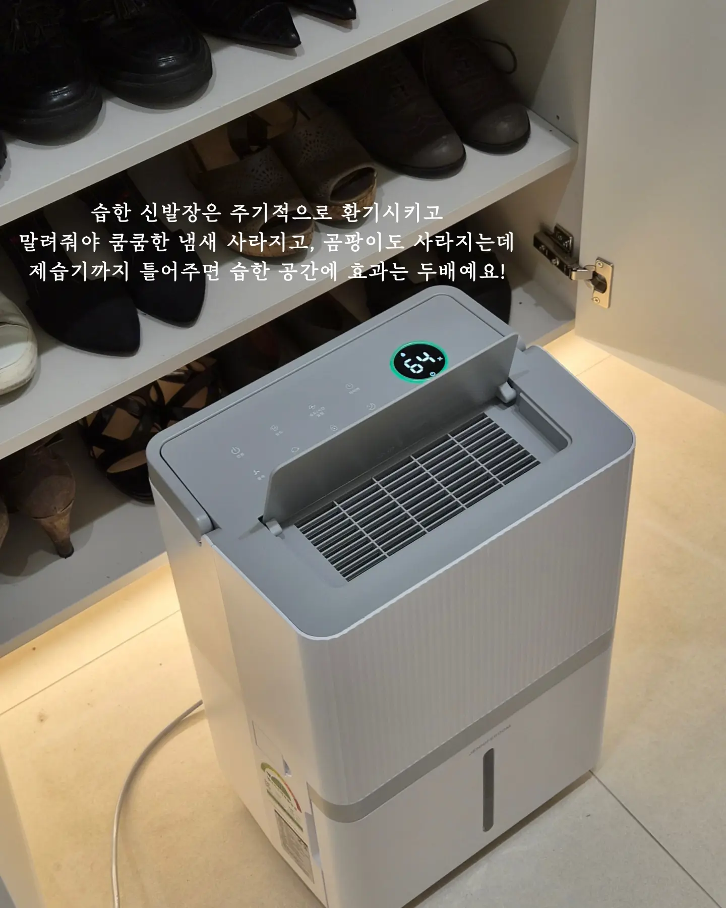 박스단가라 원피스 5