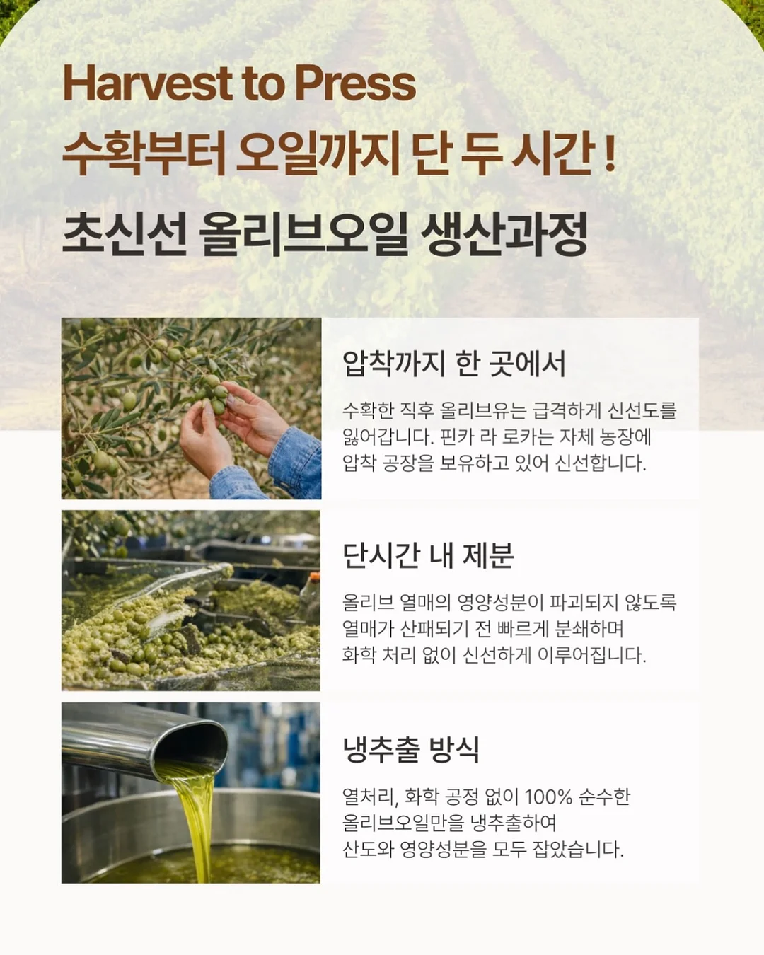 부산우유 농협 요구르트 65ml × 5개입 9