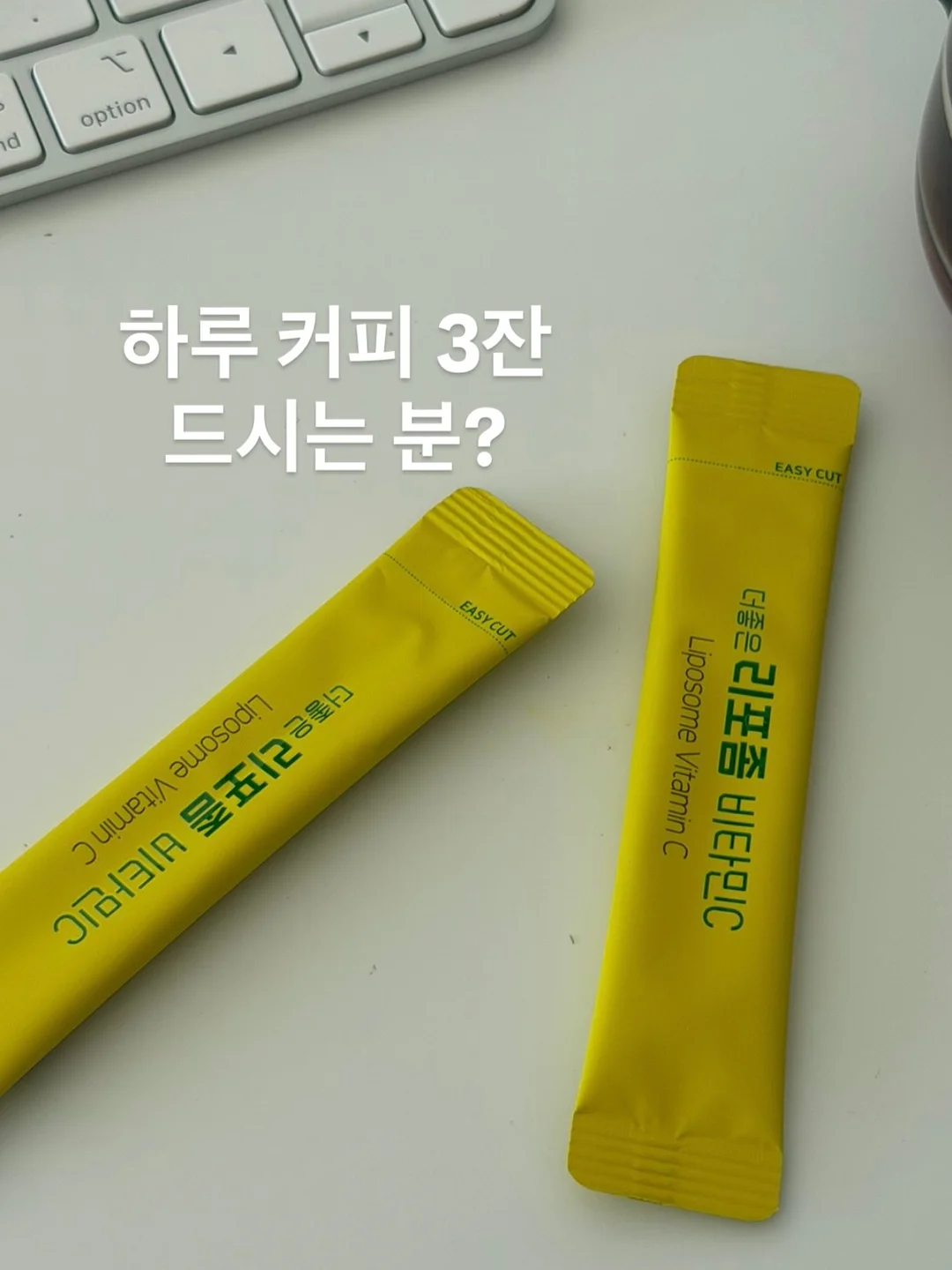 윤도 임시보호/입양 4