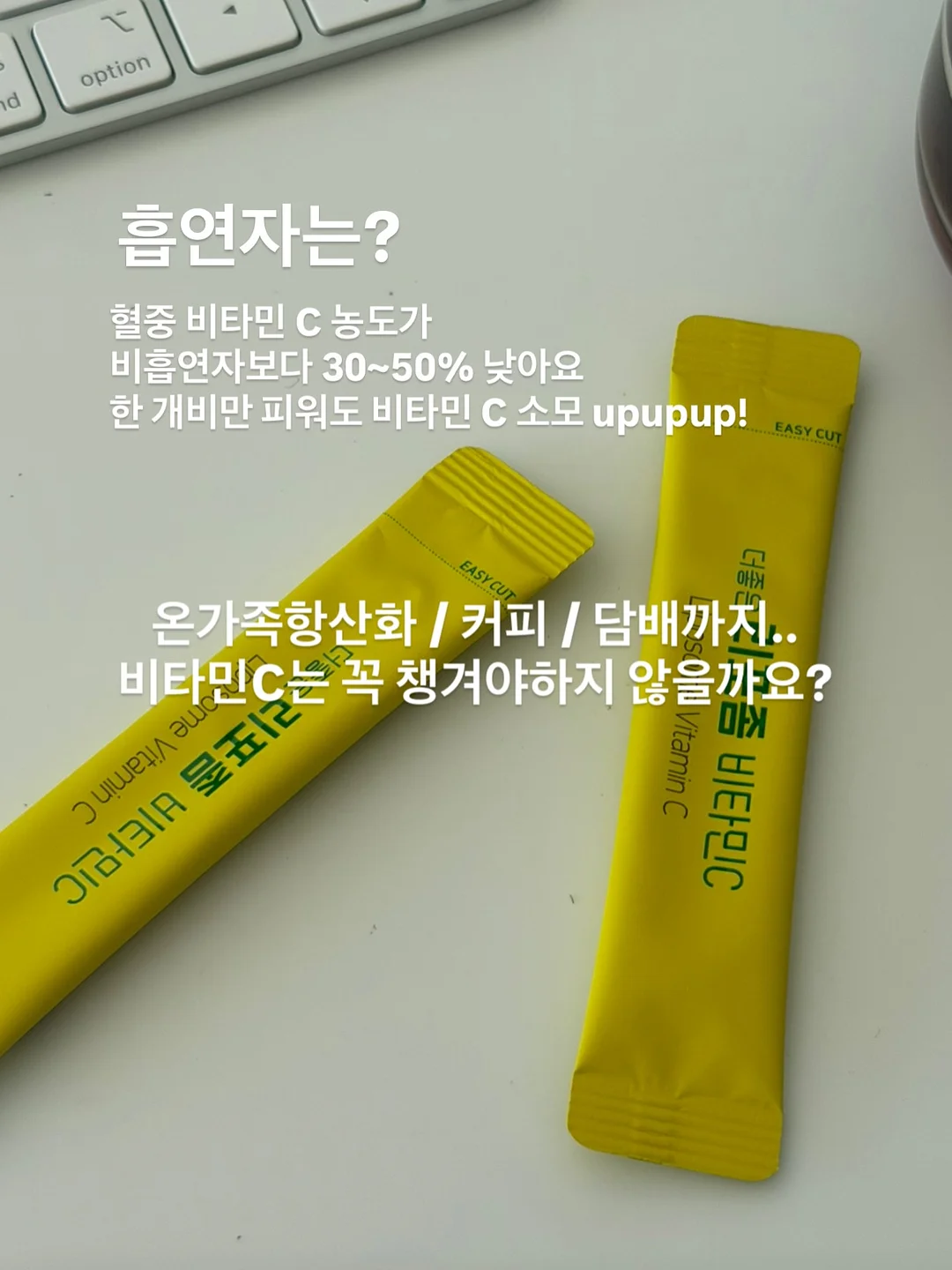 윤도 임시보호/입양 6