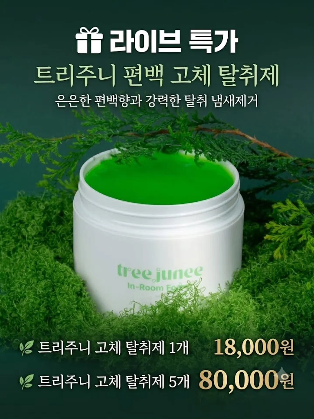 국어 기초 어휘 선정 목록 기반 어휘력 문해력 책 15