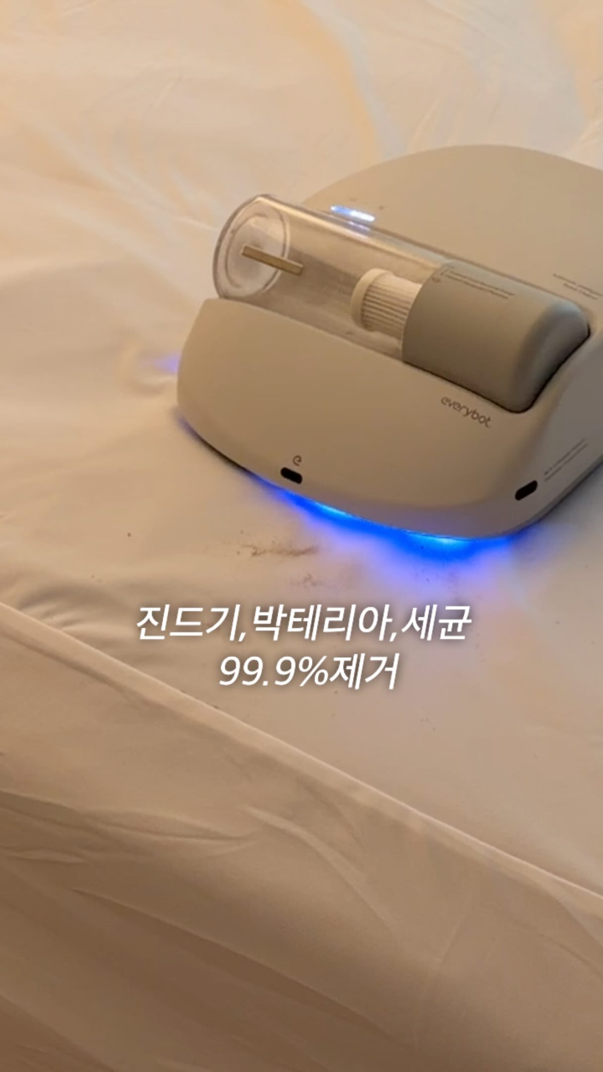 따옴바 아이스크림