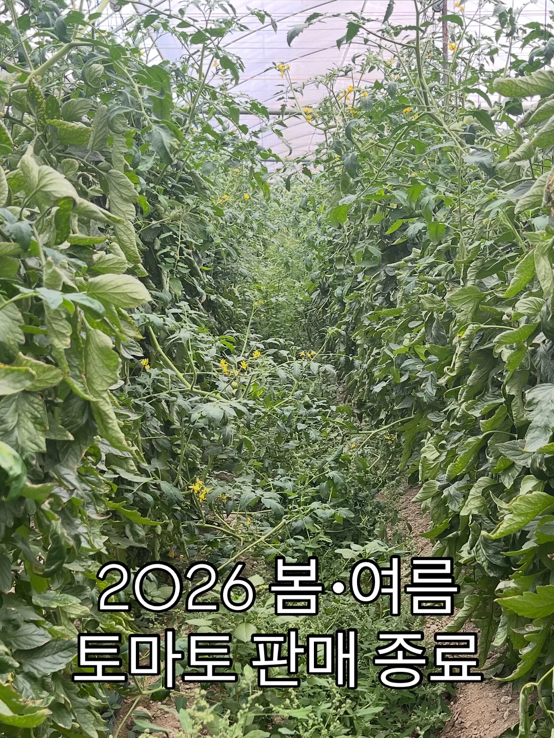 도형 회전 활동 도안