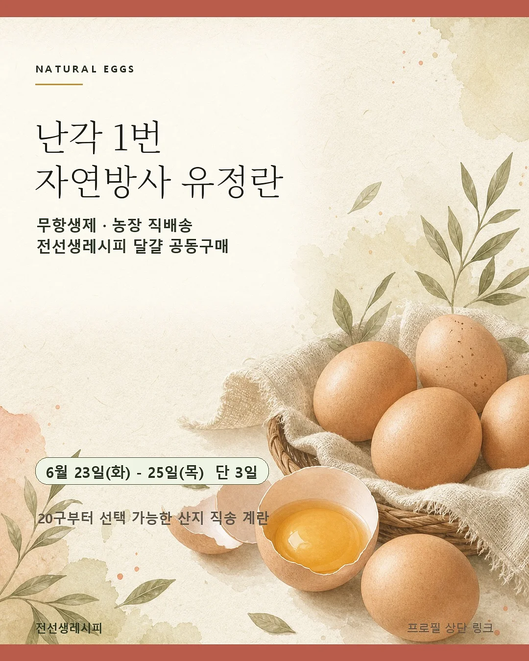 2605 먼슬리 다이어리 3
