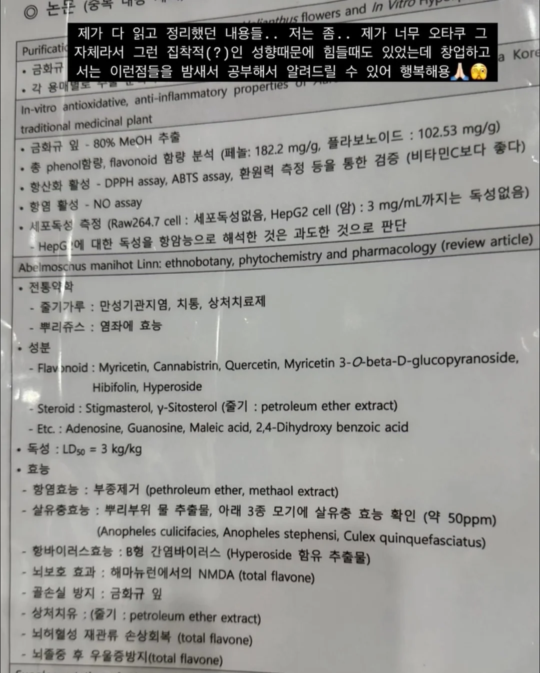 손목구명팔찌 5