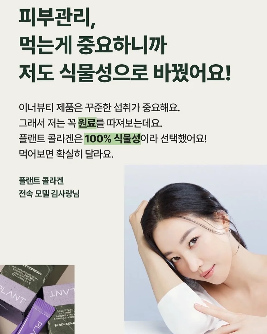 감자 13