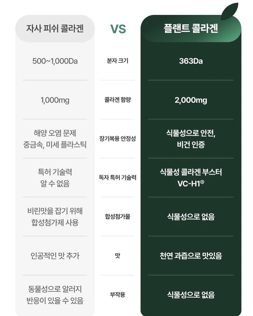 감자 15