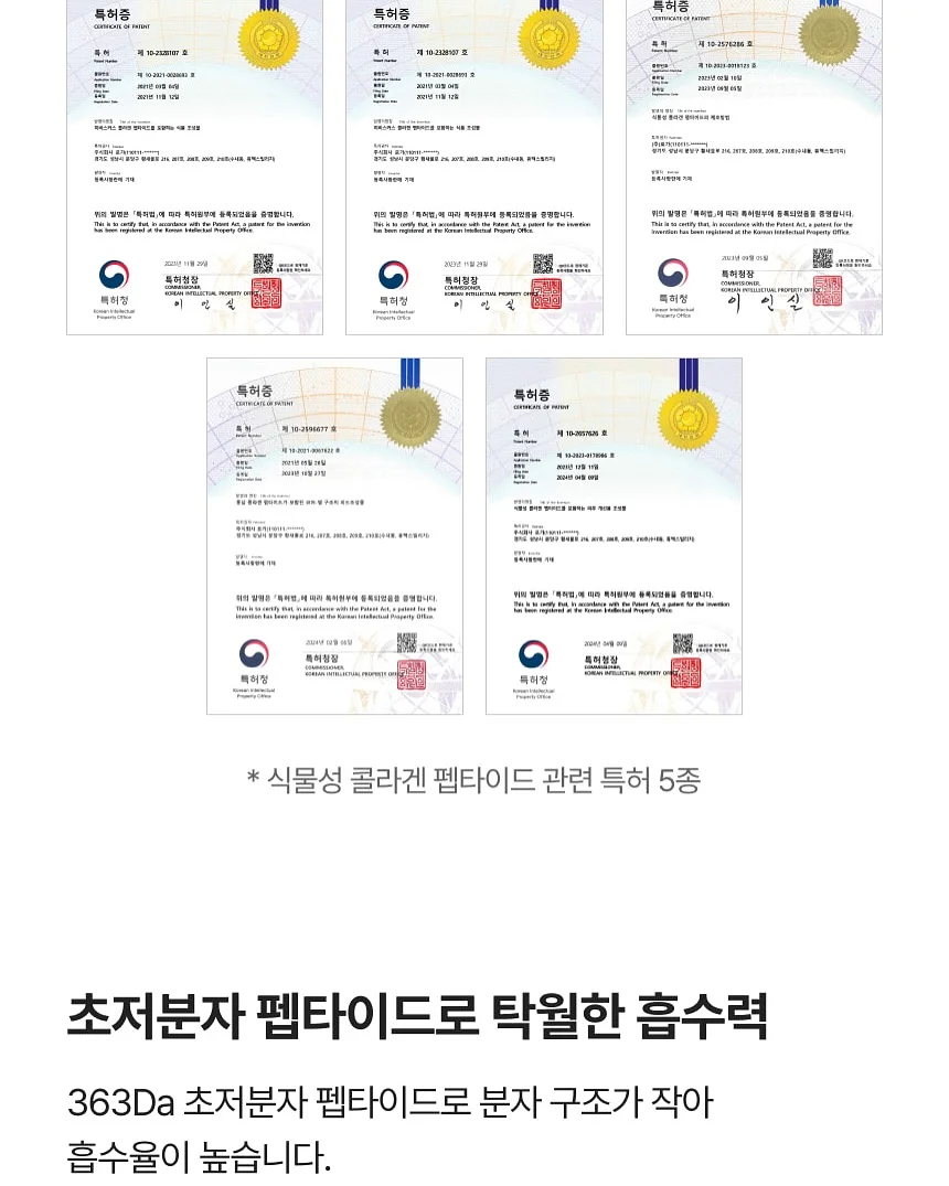 감자 16