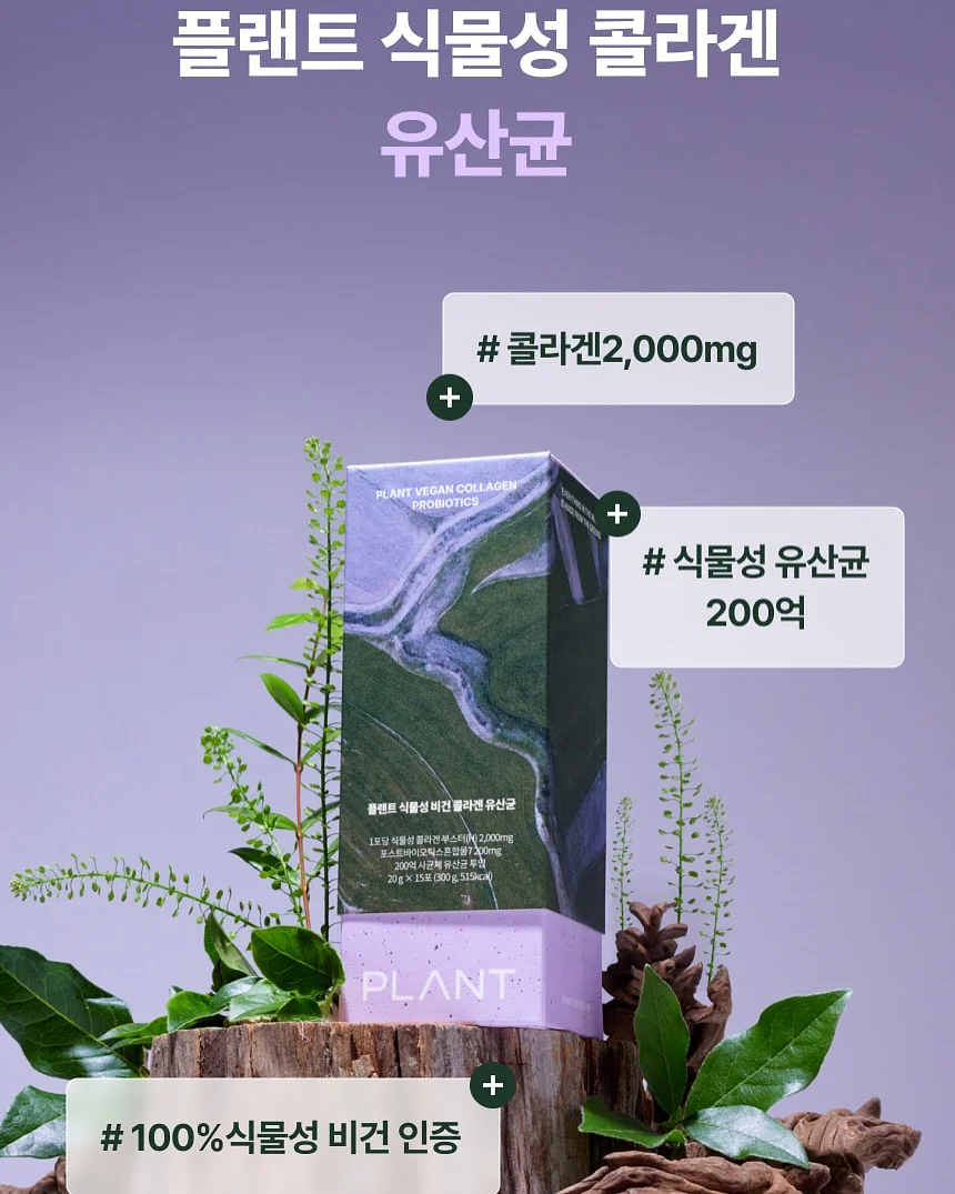감자 17