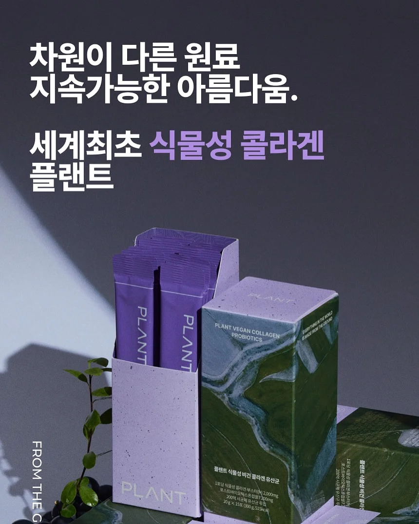 감자 20