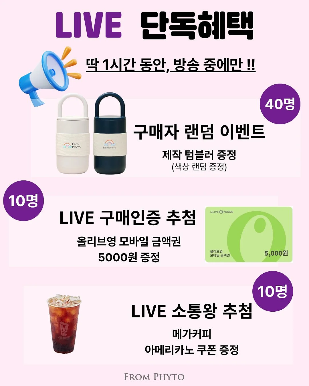 동해 멍게젓 2