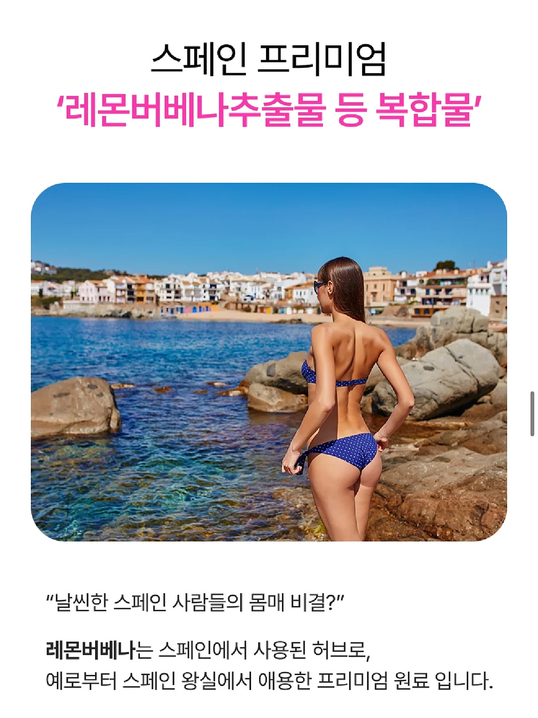 화이트레이디러그 7