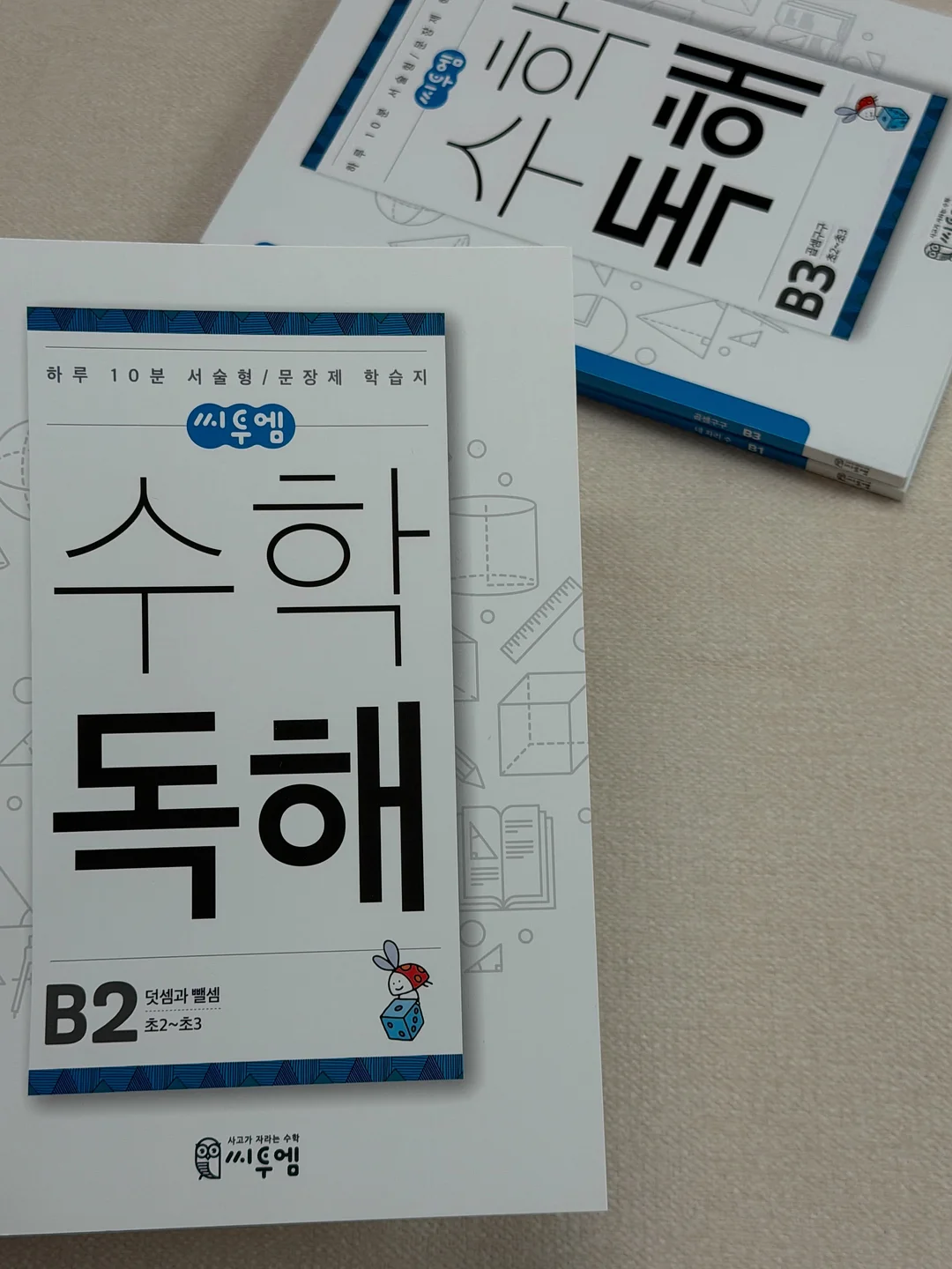 아멜리 도화쿠션 6