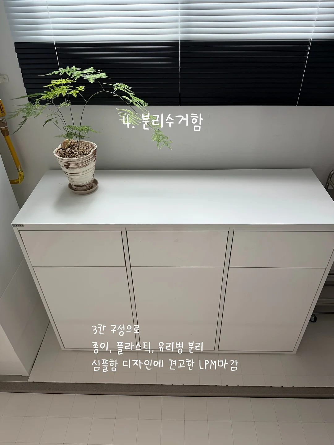 남성 지원자 8