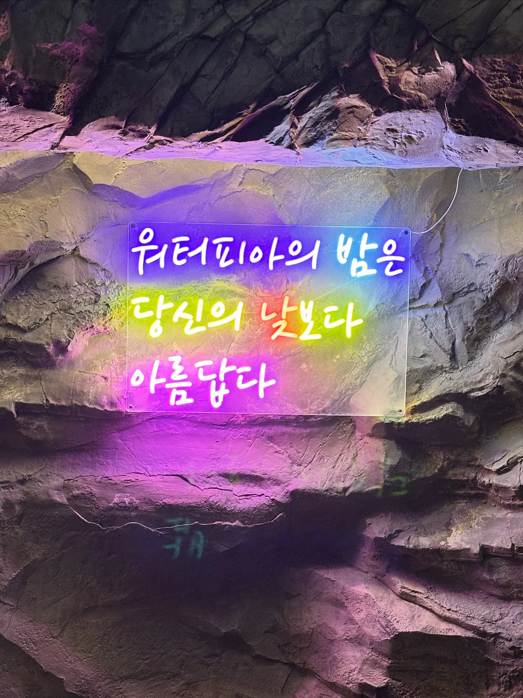 카멘 시트 13