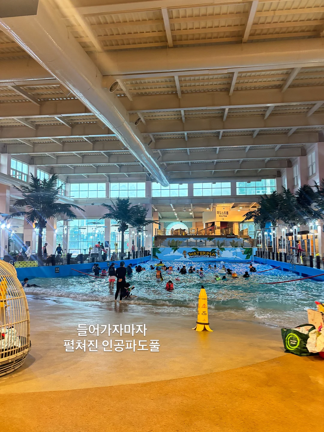카멘 시트 4