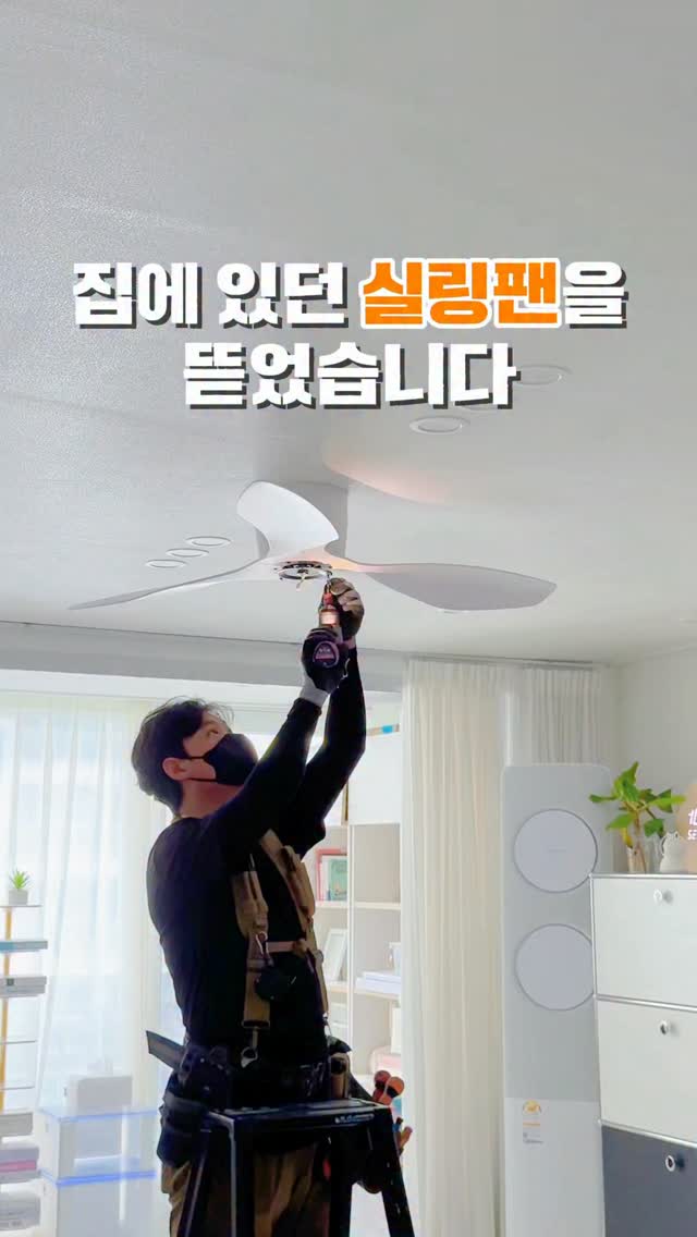 복숭아연구 도안