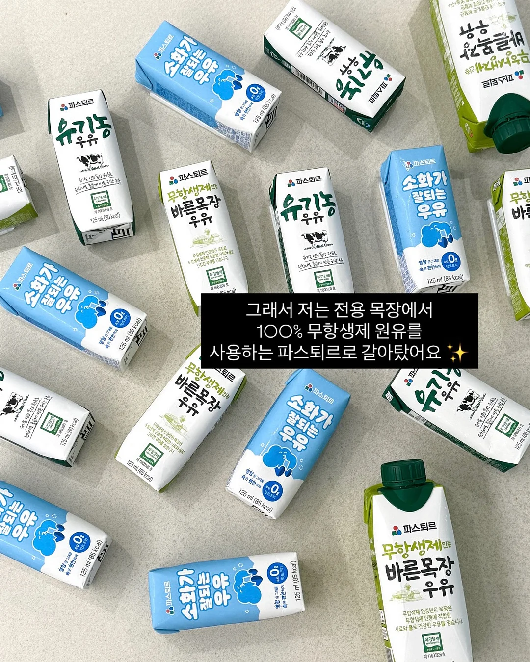 베일리 젤리빈 티셔츠 7