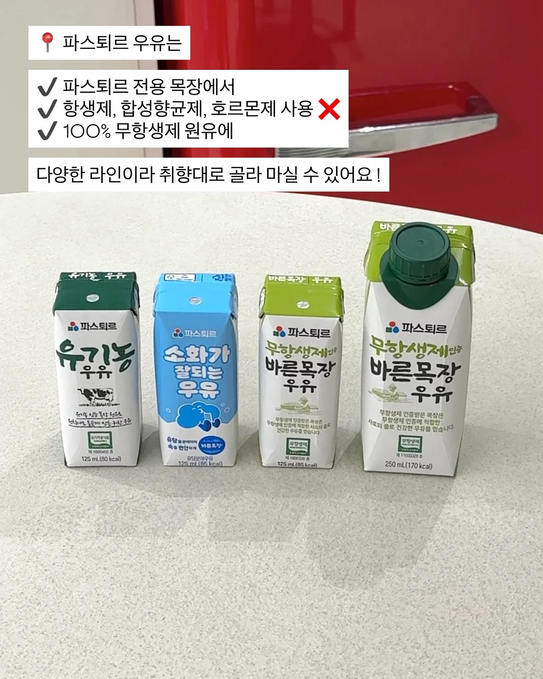 베일리 젤리빈 티셔츠 8