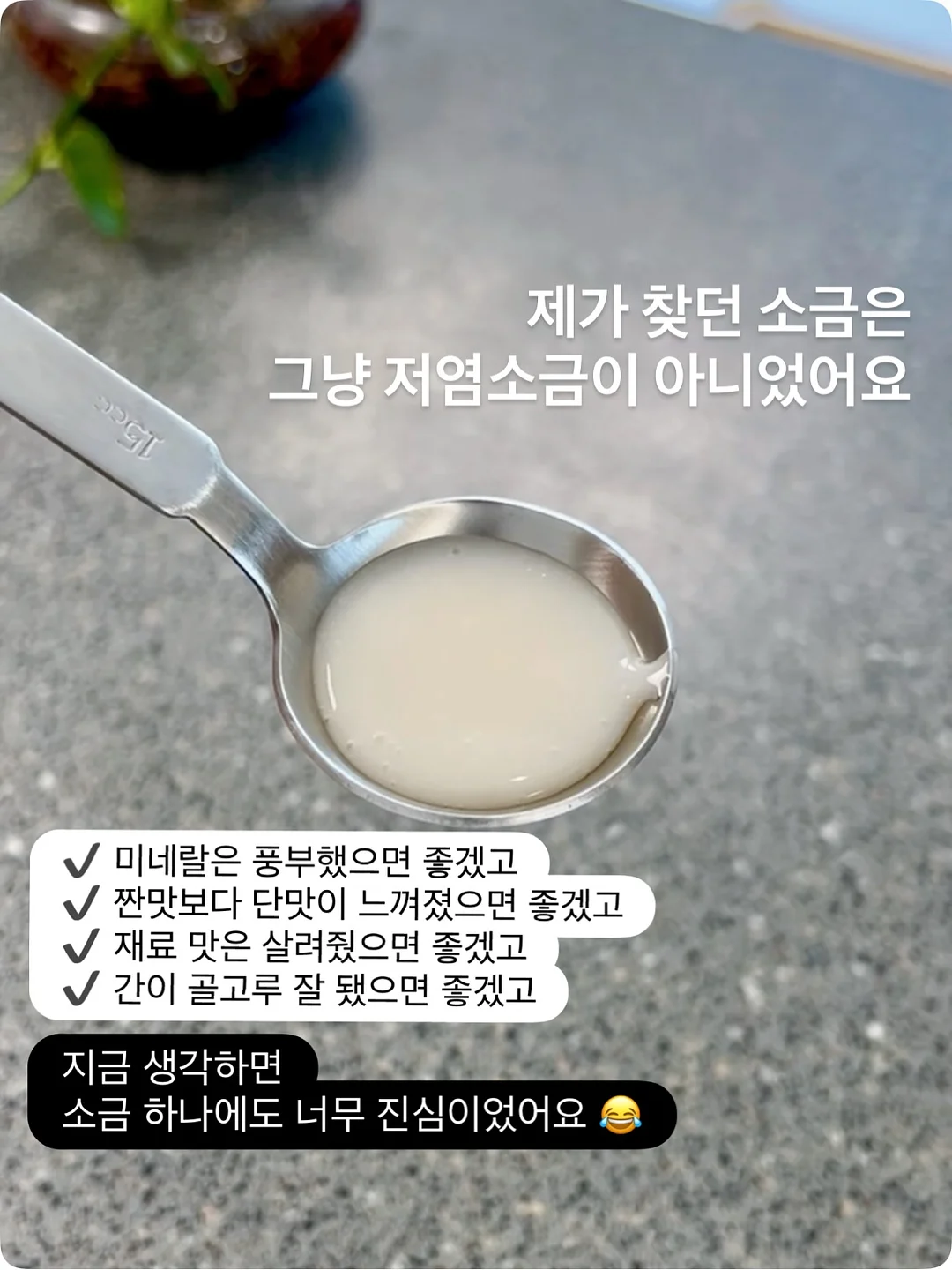 베리맘 ECM 10