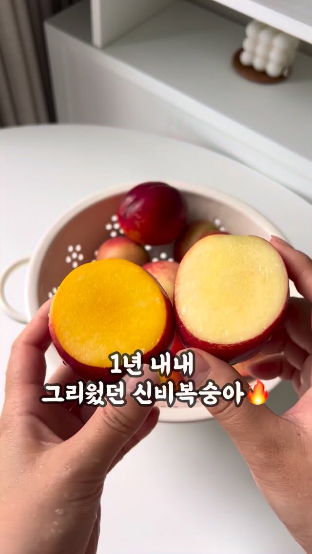 강아지 칫솔