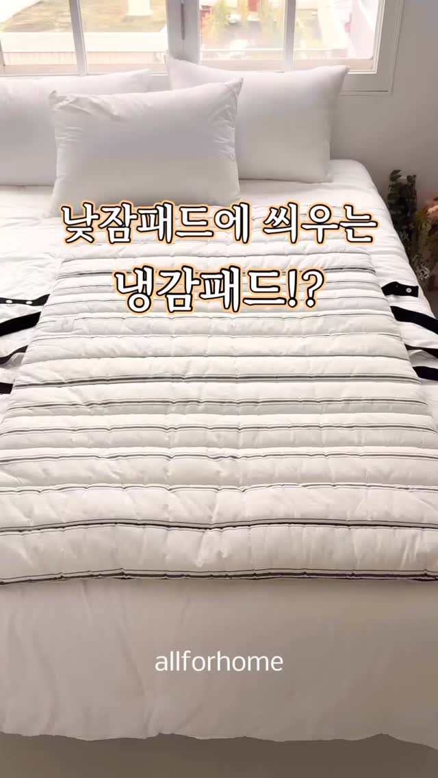 시스루 생활방수 바람막이