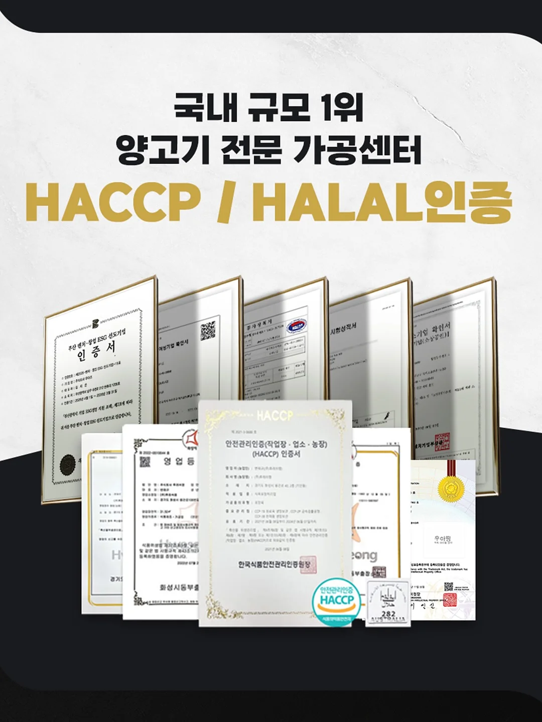 알로에 엑소좀 진정 쿨링 마스크팩 11