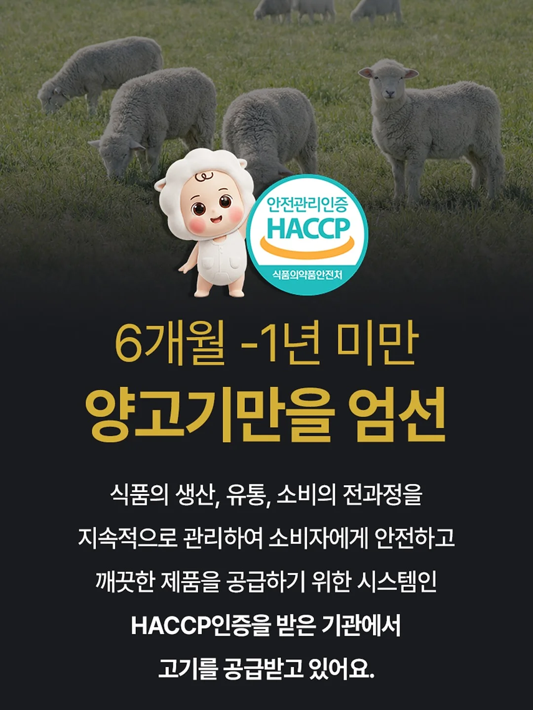 알로에 엑소좀 진정 쿨링 마스크팩 7