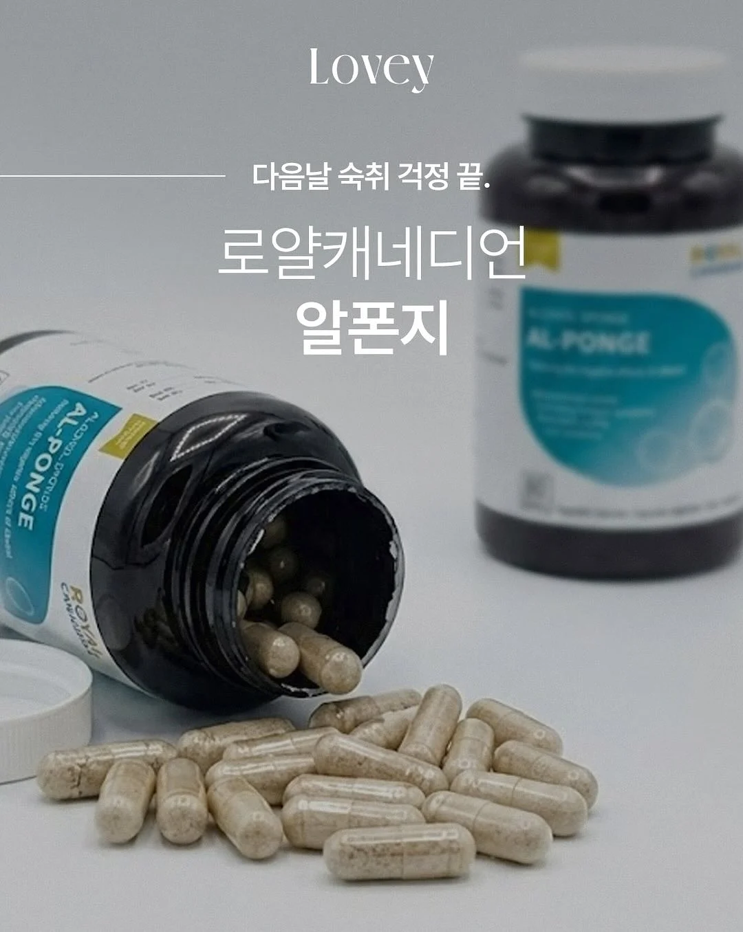 가족사진 피규어 1