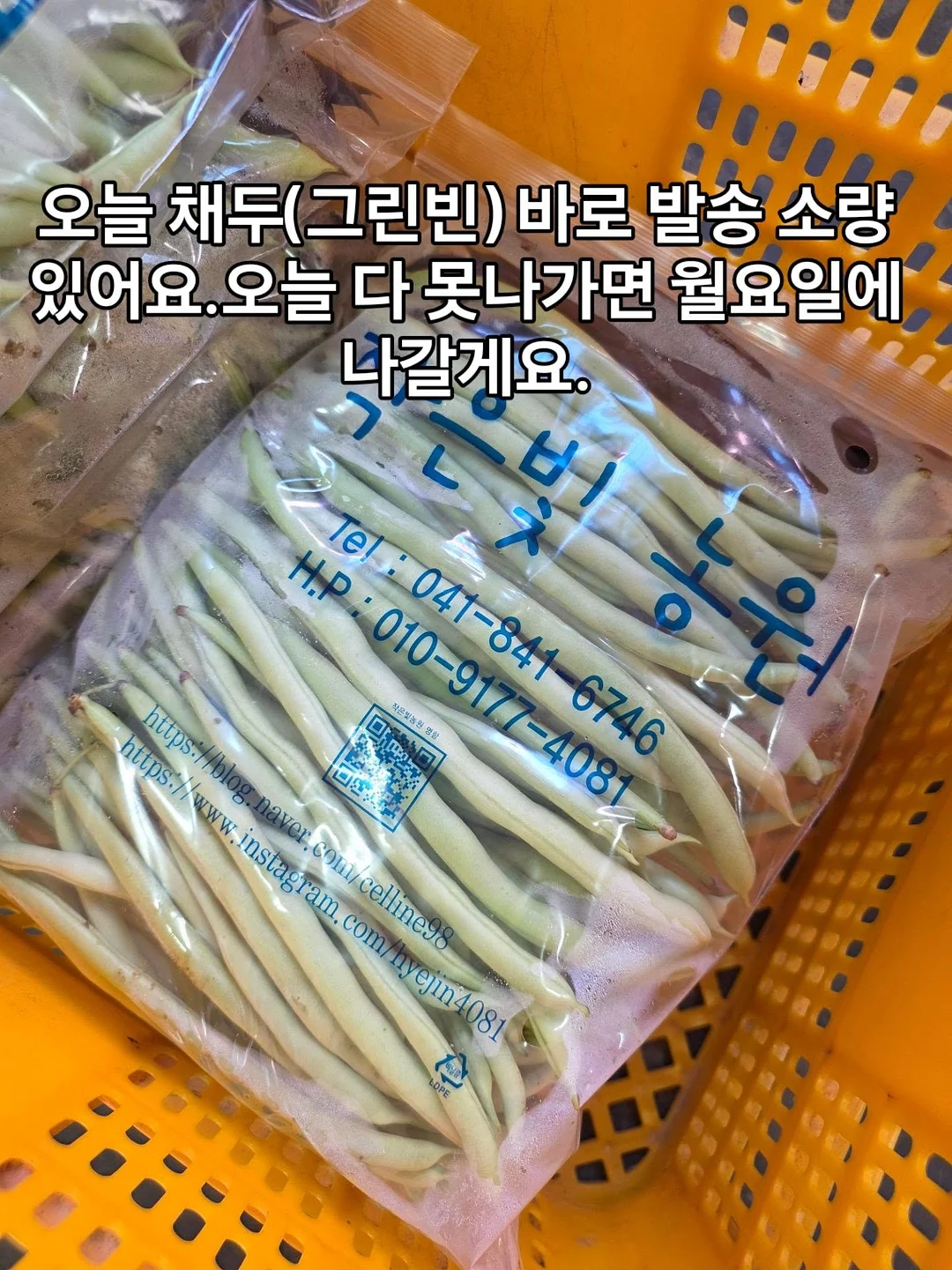 농장세트 화산 눈놀이 세트 1