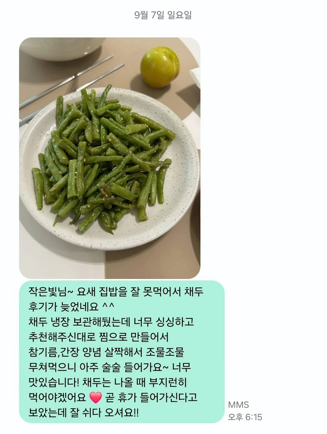 농장세트 화산 눈놀이 세트 12