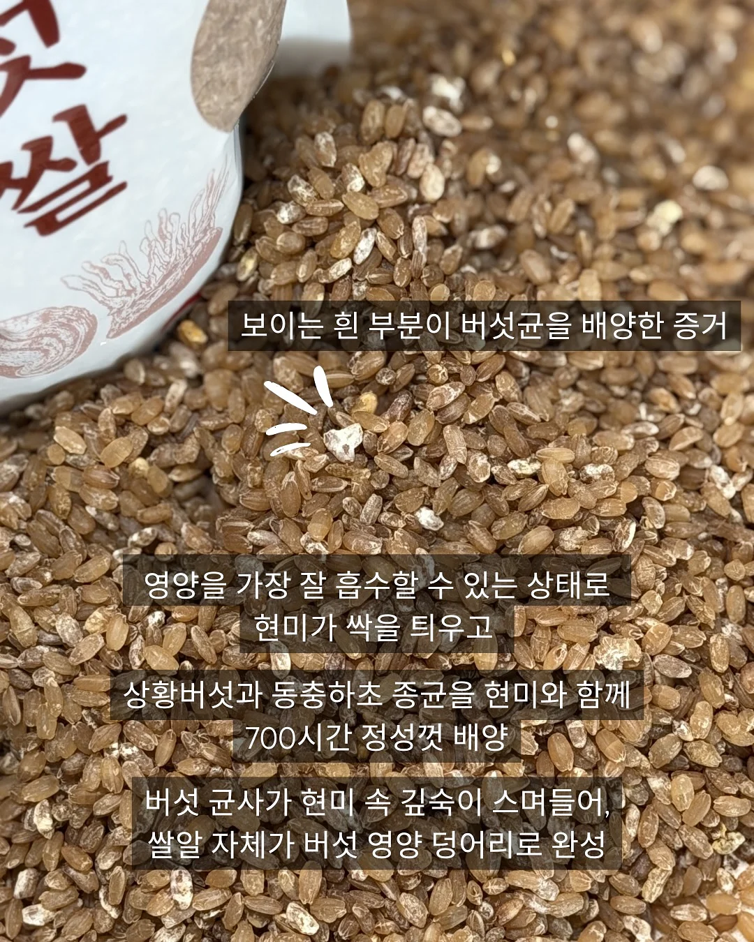 iZiGGLE 회전 냄비 8