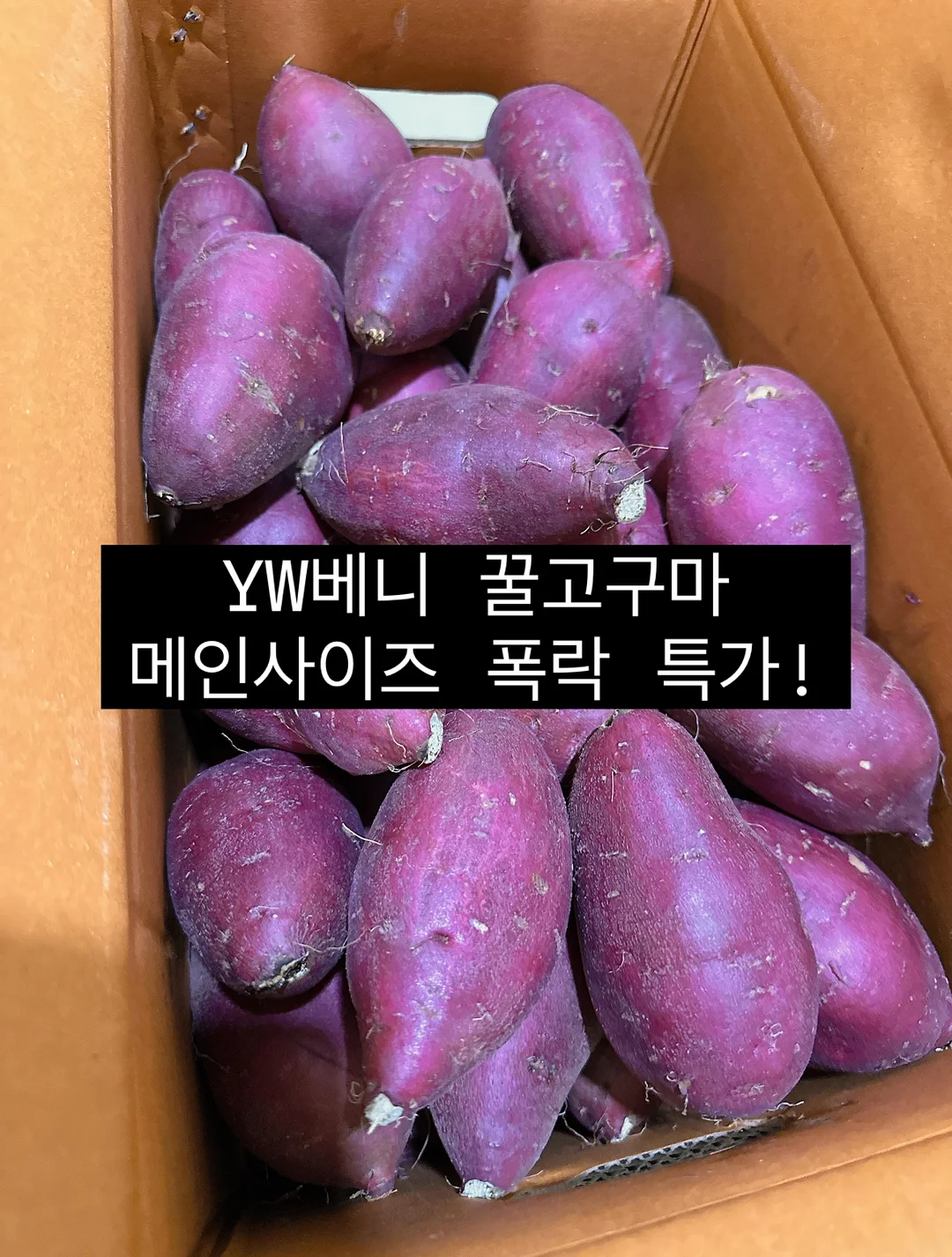 두두앙팡 놀이 전집