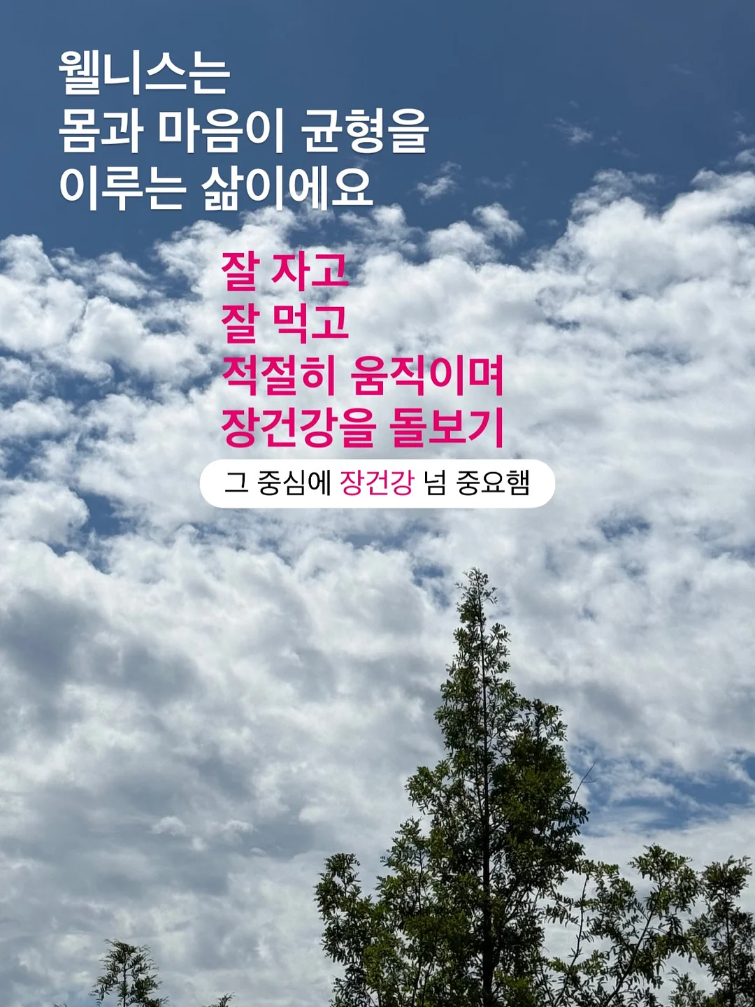 한우암소 살치살 + 갈비살 9