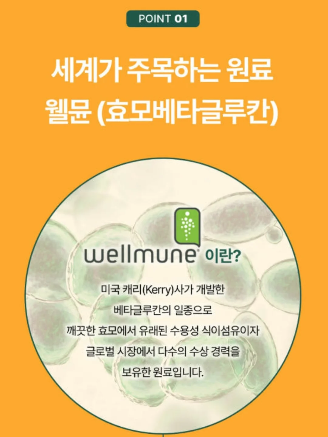 링클쇼츠 19