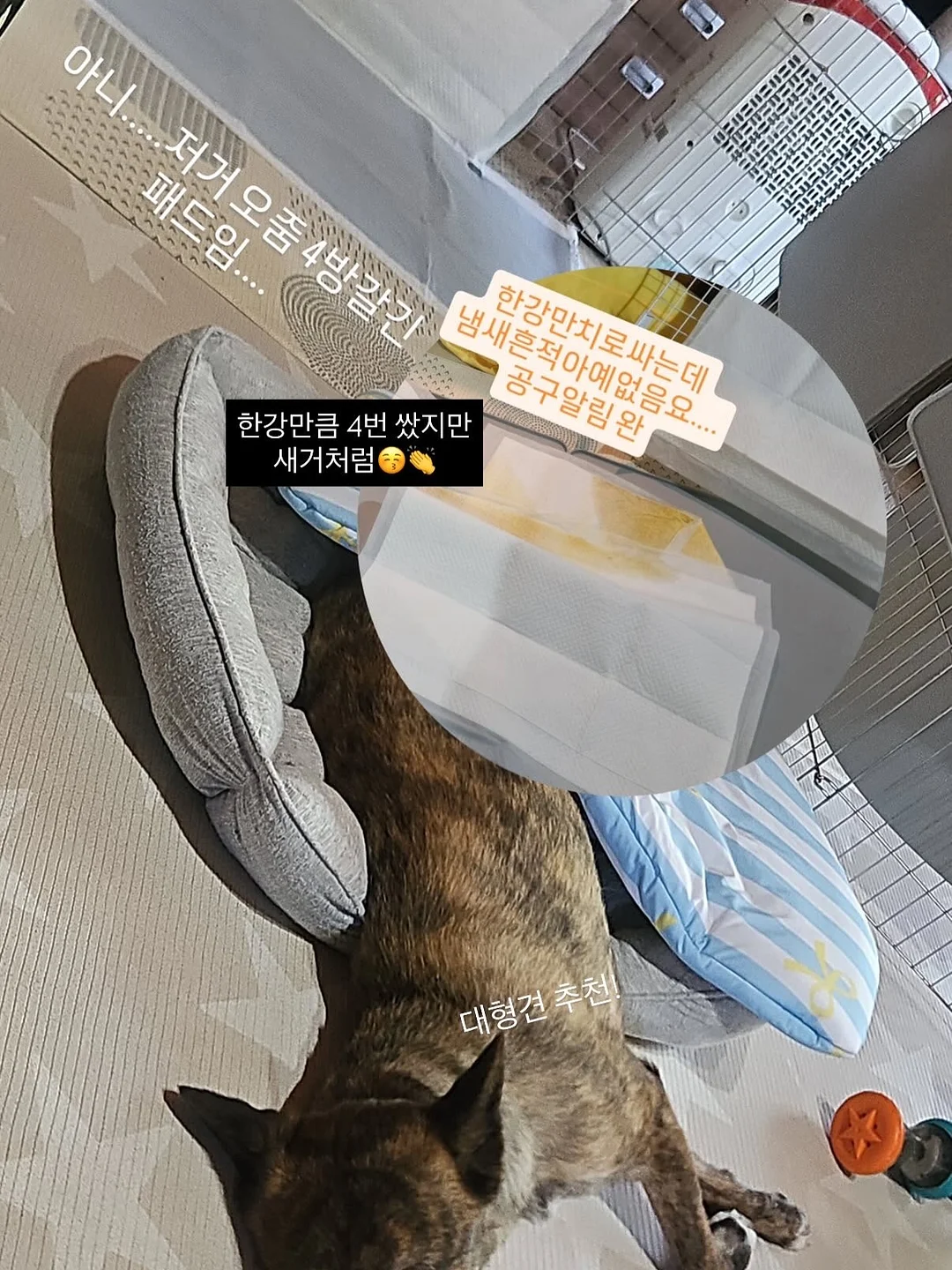 그레잇 포터블 스크린 스마트티비 11