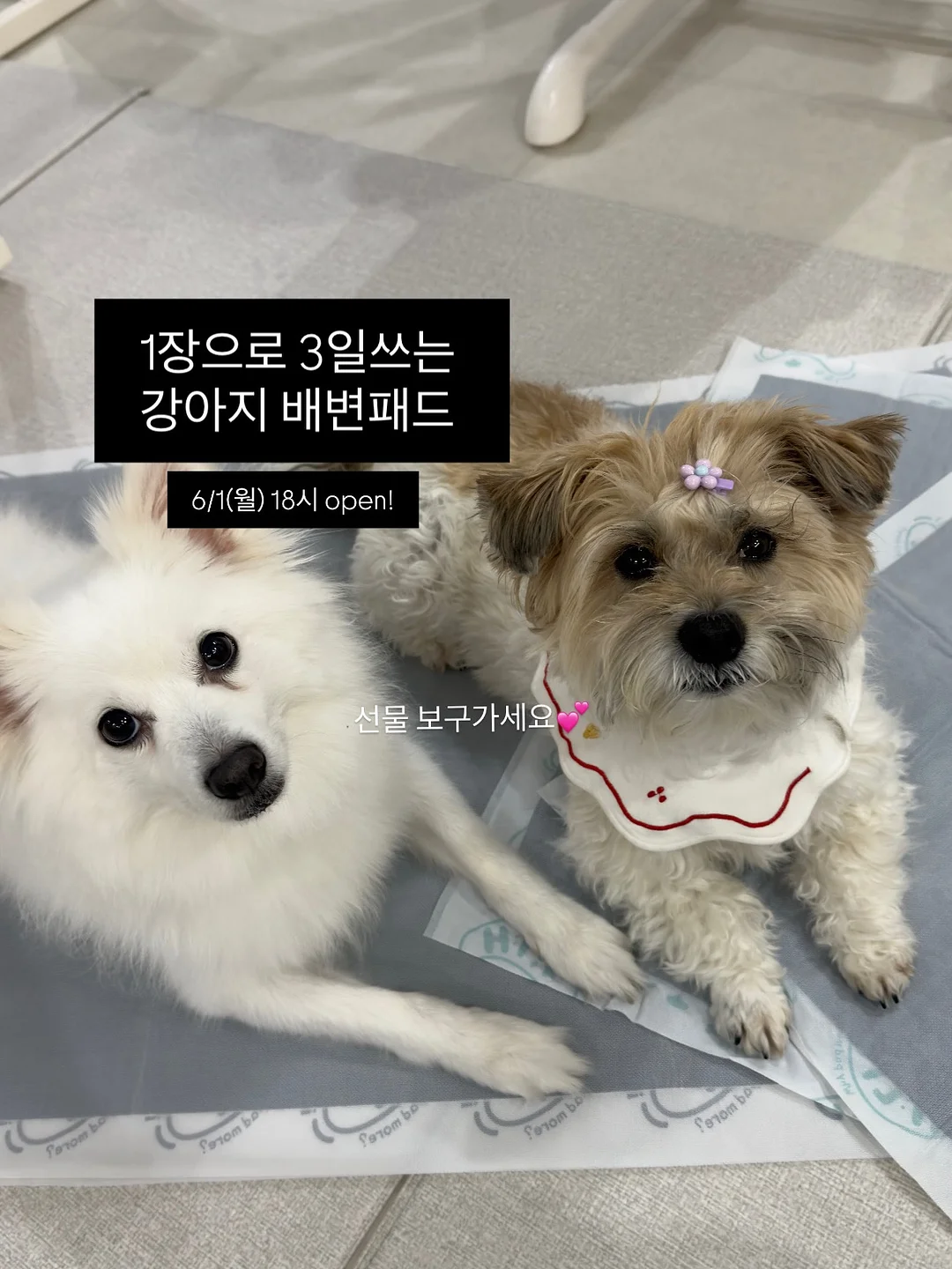 그레잇 포터블 스크린 스마트티비 2