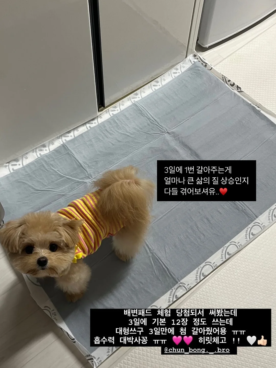 그레잇 포터블 스크린 스마트티비 6