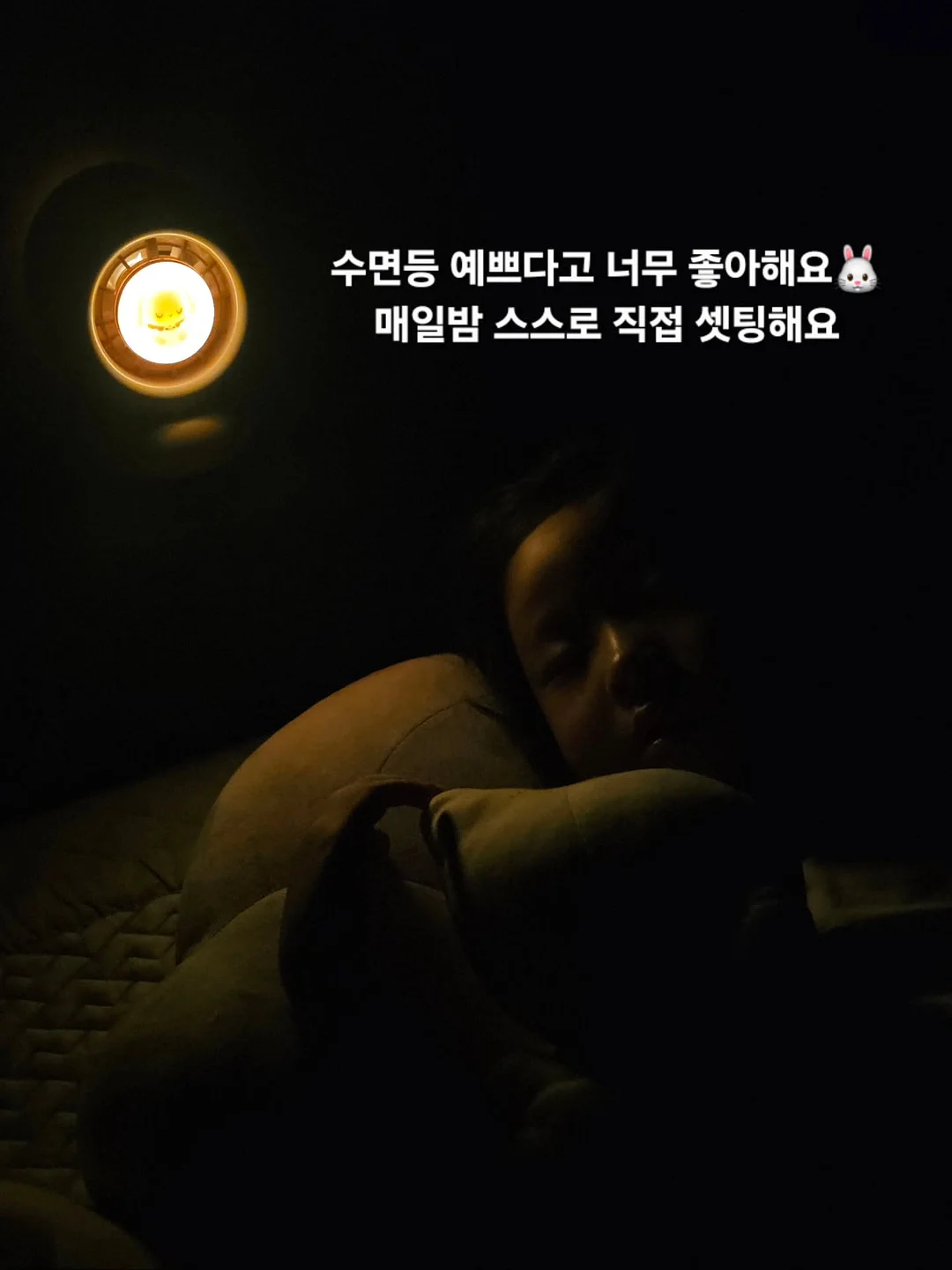 수채화고무나무 6