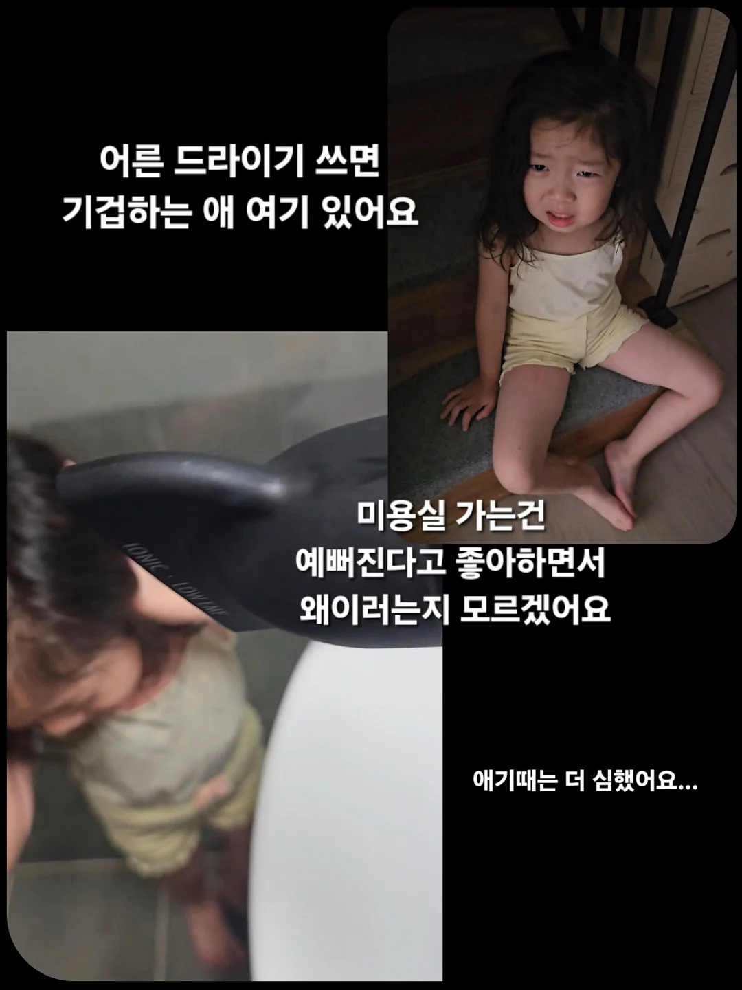 수채화고무나무 7