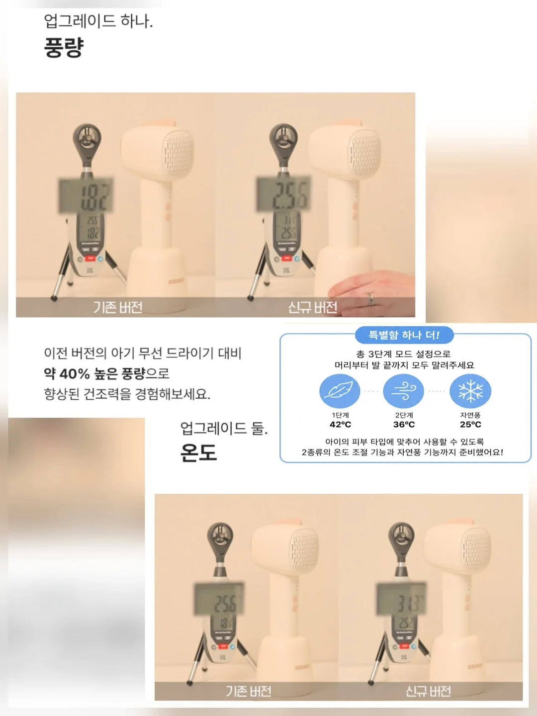 수채화고무나무 10