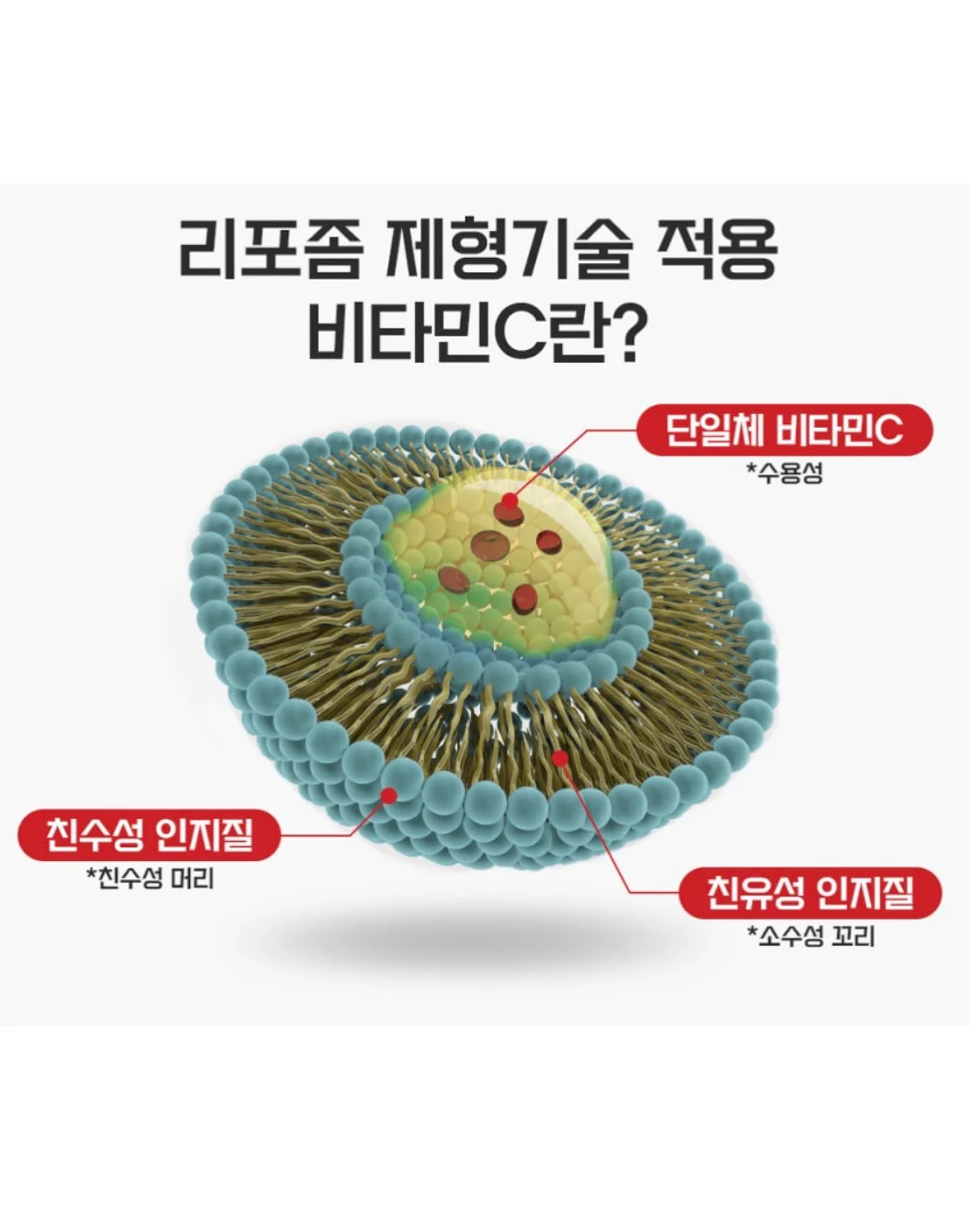아크네 차콜 반팔 7