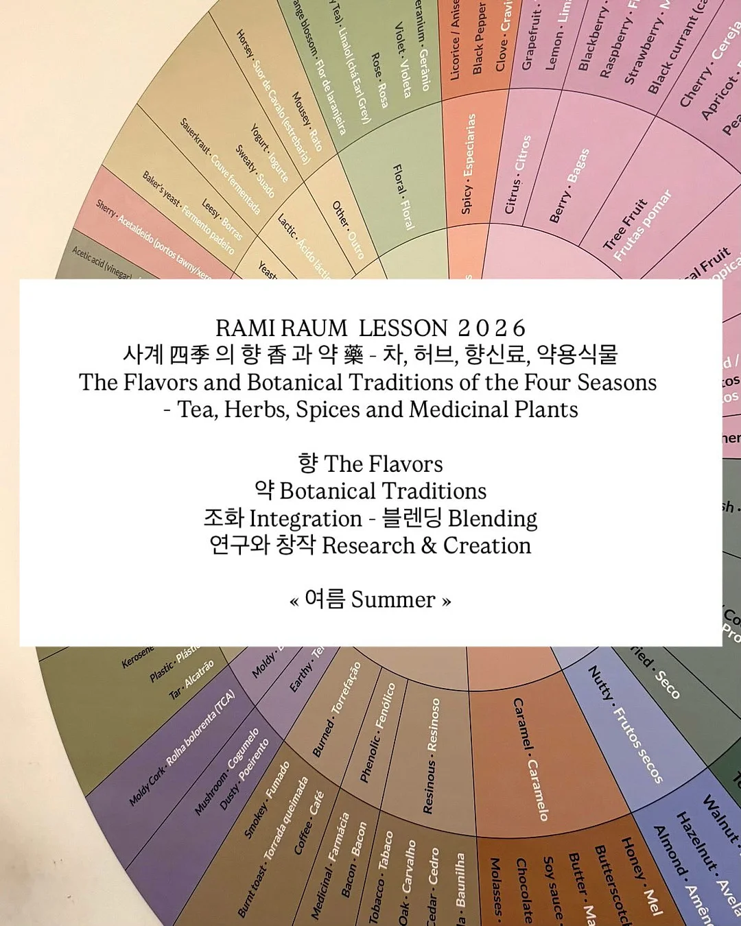 신상 코디세트 가디건 1