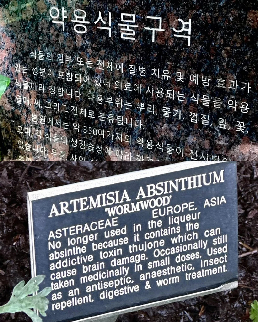 신상 코디세트 가디건 10