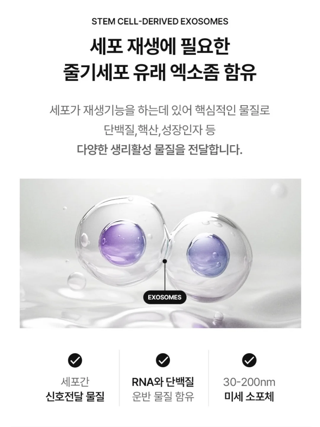 푸브 여름신상 7