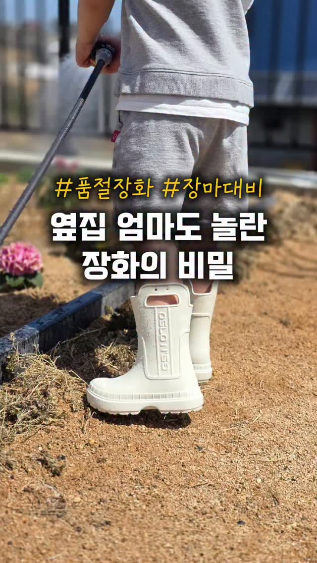 천명관 아코디언