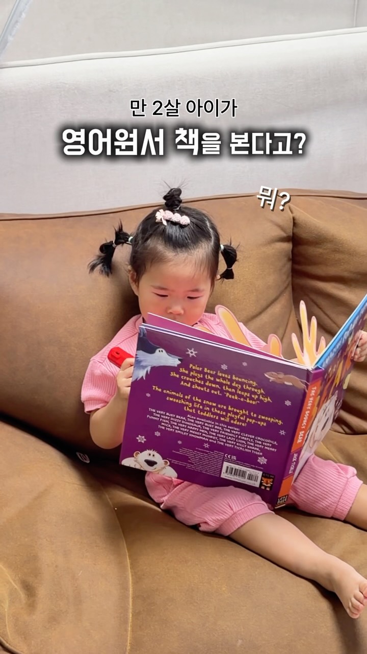 놉솔리드