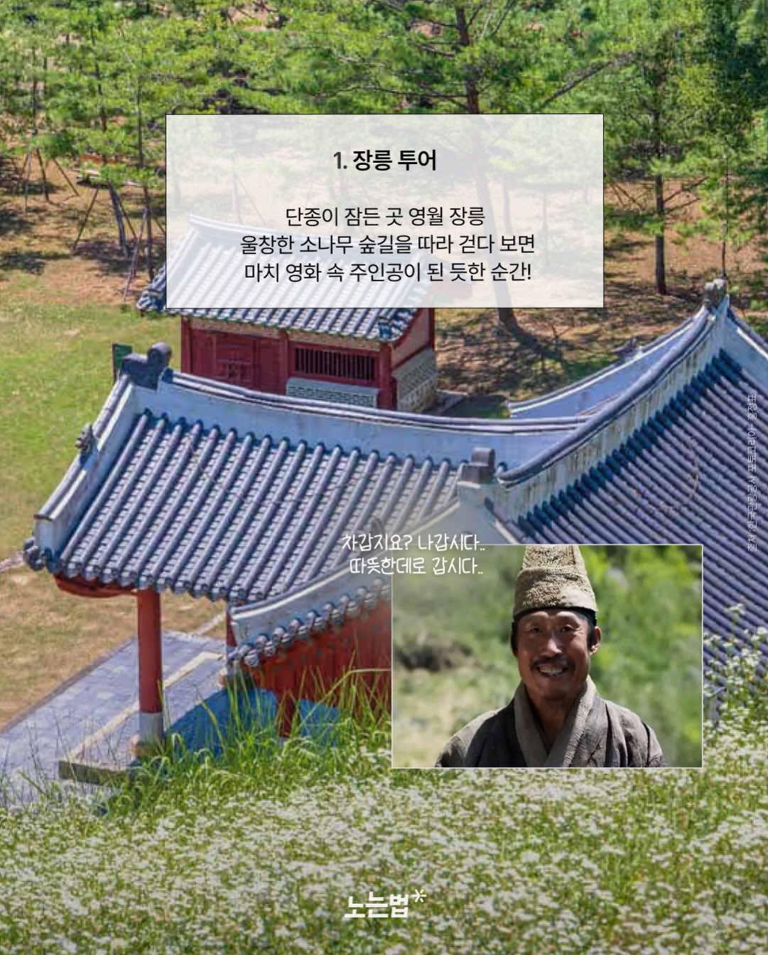 단톤 셋업 3
