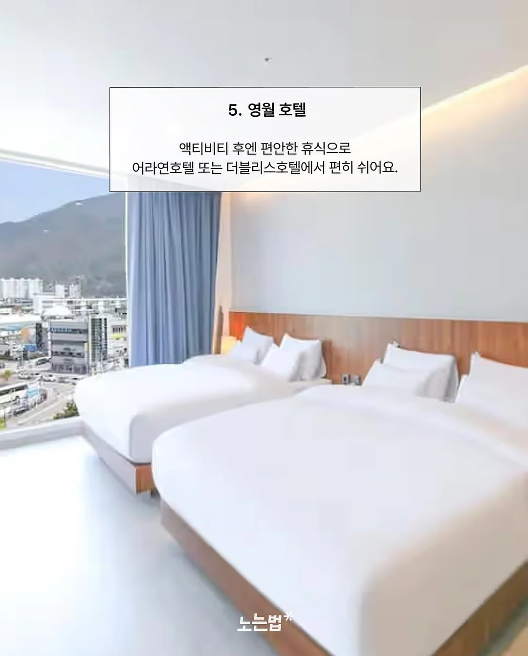 단톤 셋업 7