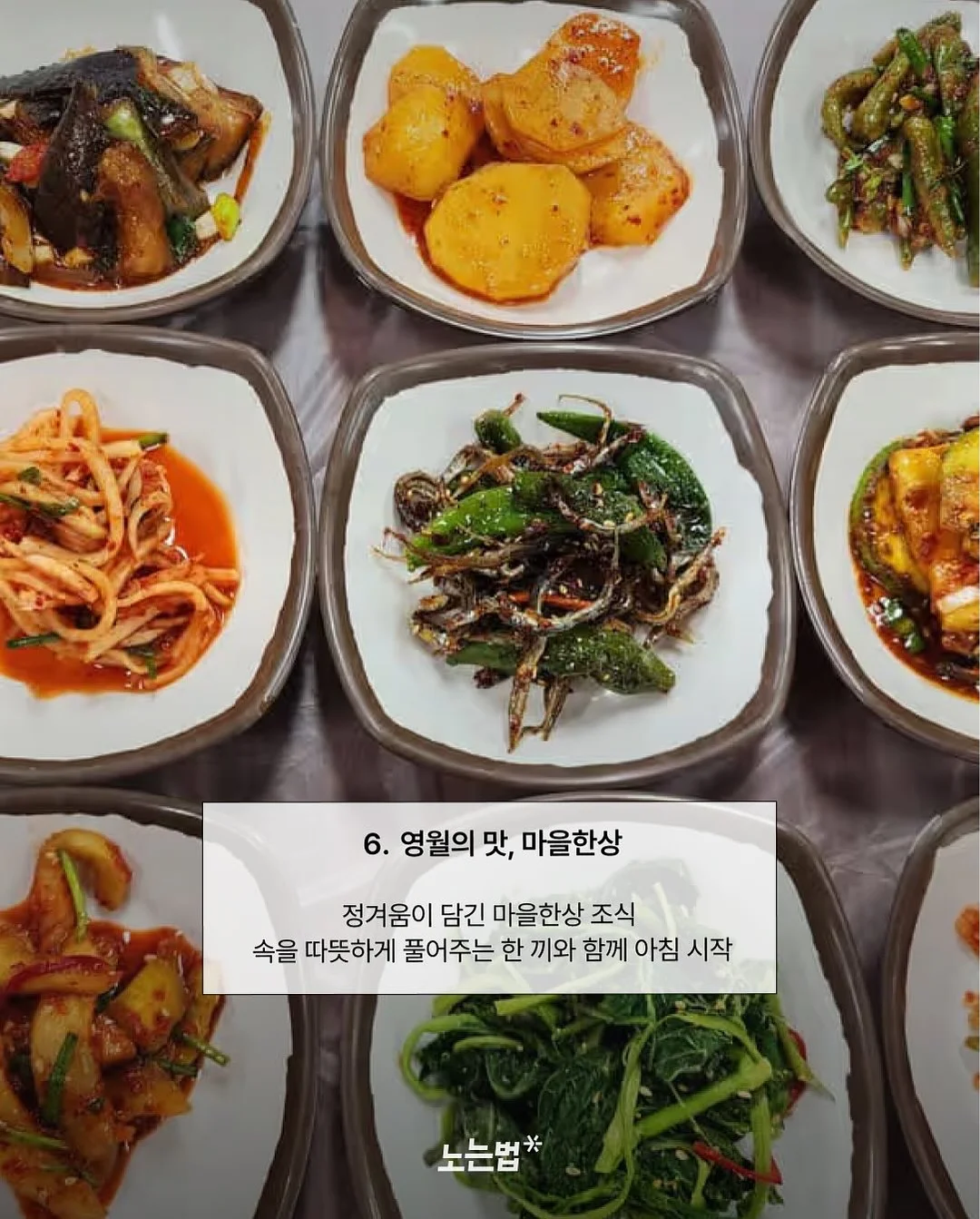 단톤 셋업 8
